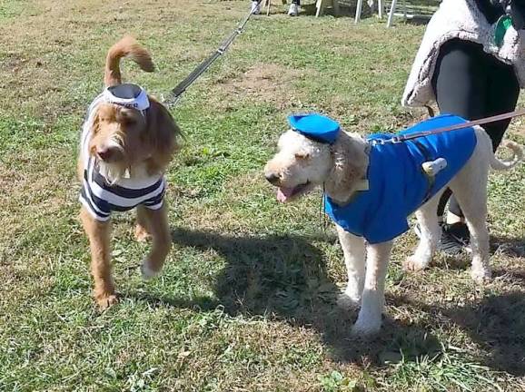 Vernon Dog Park hosts Halloween parade