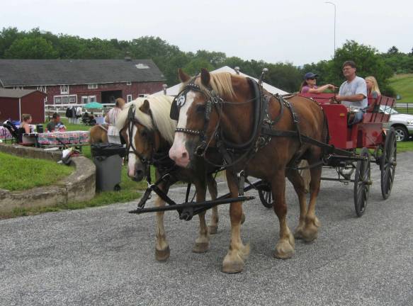 Pony and carriage rides and other fun activities greeted visitors at the farm.