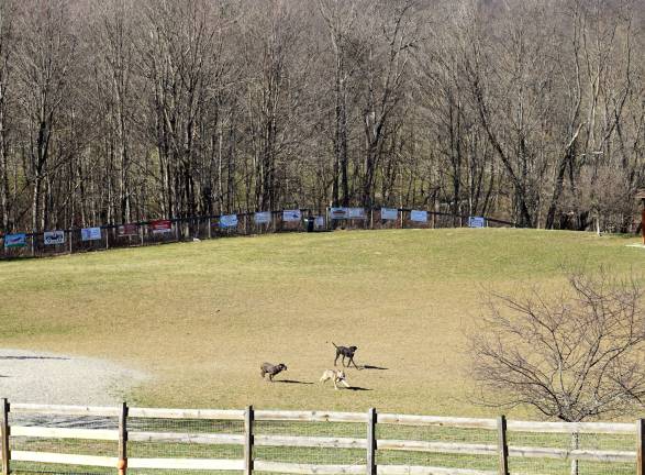 Readers who identified themselves as Burt Christie and Pamela Perler knew last week's photo was of the Wantage Dog Park, located in Wantage Township.