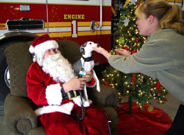 Lila Zimmerman of the Highland Lakes section of Vernon tries to get four-year-old Italian Greyhound Woolfie to sit still and pose with Santa in the Vernon Firehouse.