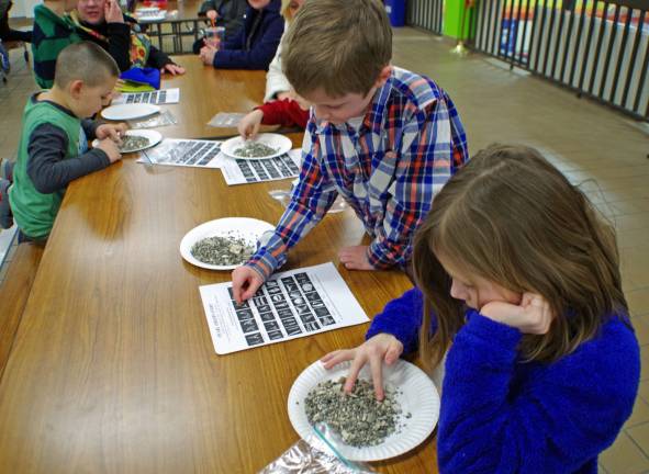 Finn Brooks, 7, compares a something he found against the fossil identification sheet, as his sister, Bella, 9, sifts through her plate of multi-million-year-old fossil-laden debris.