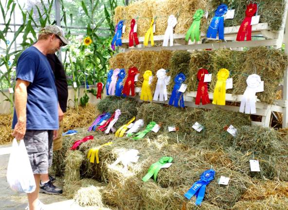 Visitors are shown reviewing the ribbons awarded for the best fruits and vegetables competitions.