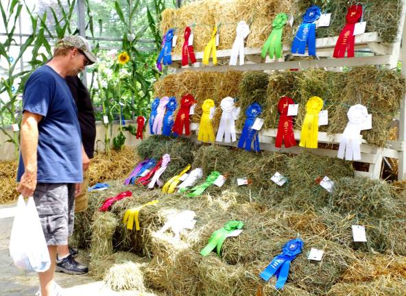 Parting shots from state fair Visitors are shown reviewing the ribbons awarded for the best fruits and vegetables competitions.