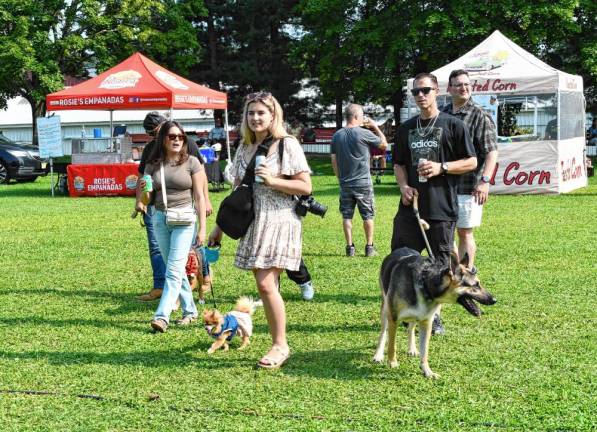 Photos: Pupstock Festival 2024 <b>Dogs of all sizes accompanied by their owners at the Pupstock Festival.</b>