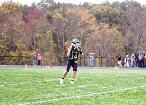 Wildcats claw Patriots, 35-6 <b>Sussex Tech quarterback Cole Young passed for 103 yards resulting in one touchdown.</b>