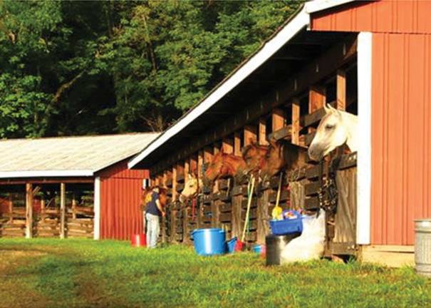 The farm features a lighted horse barn with 15 stalls Photo provided