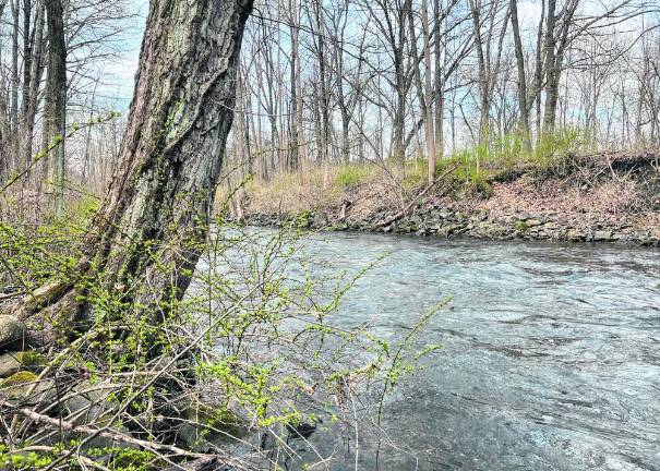 Sussex County History Today: ‘Fishin’ Blues’ The fish were biting in this quiet spot along the Wallkill River where flow was slower. (Photo by Bill Truran)
