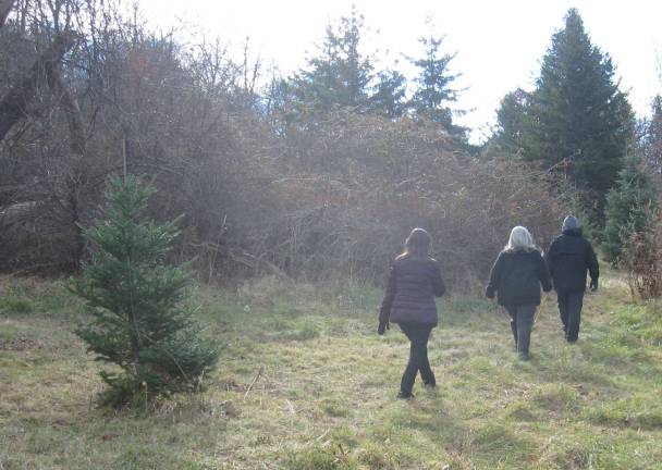 A family tradition Customers hike through the 13.5 acres of Christmas tree selections. The farm has a history dating back to 1927 when Broadway and character actor Edgar Stehli purchased the farm in rustic Vernon, NJ. The farm is still deeply rooted in the family, run by Stehli's granddaughter Chris Glickson.