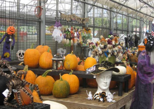 All things autumn and Halloween put visitors in the fall mood very quickly. The festival happens every weekend until Halloween.