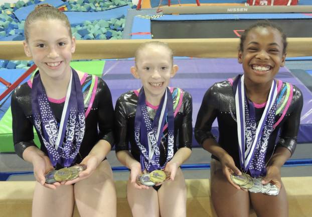 Westys gymnasts succeed at regional championships
