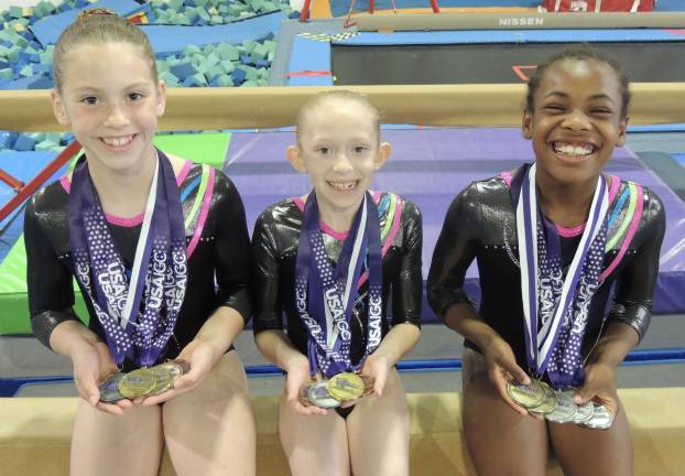 Westys gymnasts succeed at regional championships Westys gymnasts succeed at regional championships