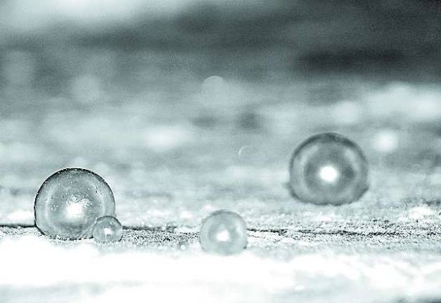 Winter Pearls Winter Pearls