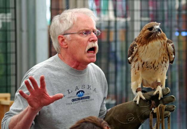 Always a favorite at Vernon&#xfe;&#xc4;&#xf4;s Earthfest, Bill Streeter of the Delaware Valley Raptor Center is shown with a Red Tail Hawk during a Birds of Prey demonstration on April 27, 2014. Delaware Valley Raptor will present at 4 p.m. at EarthFest on Saturday, April 26.