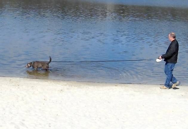 A silver Lab and his owner venture out to break up their quarantine time.