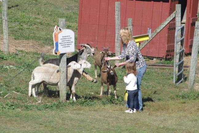 A chance to see farm animals up close and a chance to feed them as well.