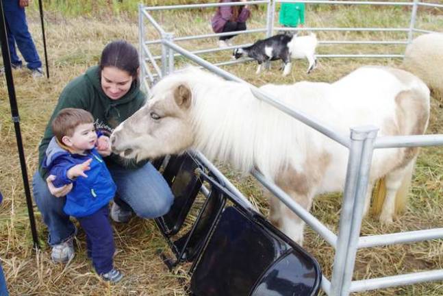 A mother and child visit the animals at Harvest Fest.
