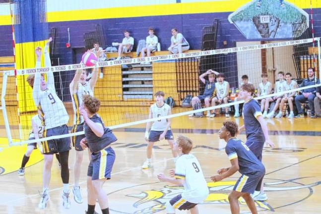 Sports roundup: Janus wins gold in H/W/S Championships <b>The Vikings and Falcons battle on the volleyball court Wednesday, April 23. Vernon won, 2-1. (Photos by George Leroy Hunter)</b>