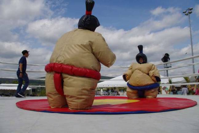 The always-popular Sumo wrestling ring.