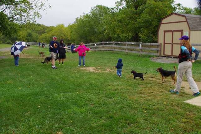 Bark for Life fundraiser held in Vernon Bark for Life fundraiser held in Vernon