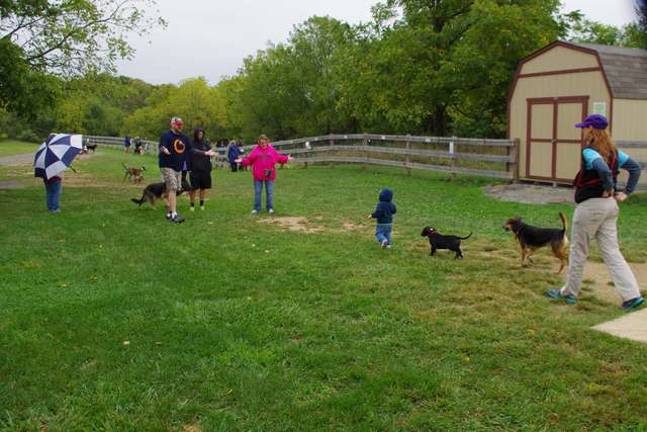 Bark for Life fundraiser held in Vernon