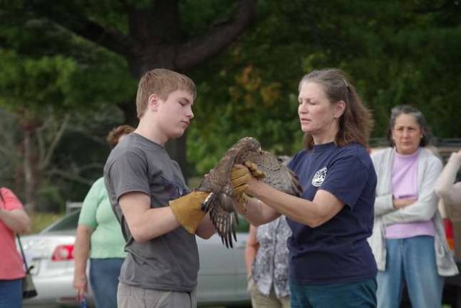 Giselle Smisko of the Wantage-based Avian Wildlife Center and her son William, 16, released two broad-winged hawks as more than 40 visitors watched at the Wallkill Wildlife Refuge&#x2019;s satellite office on Owens Station Road.