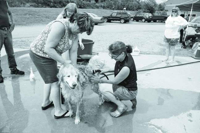 Linda Smigen of Barry Lakes brought her golden retriever &#xec;Phoenix&#xee; for a bath. At right, DOGS volunteer and member of the board of directors Kerri Yezuita is shown going through the rinsing cycle.
