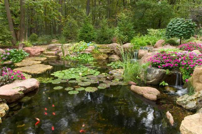 How much does a Koi Pond or Water Garden cost? How much does a Koi Pond or Water Garden cost?