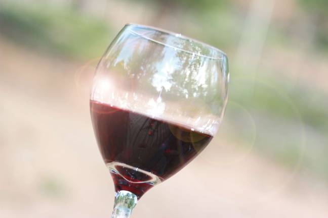 Seventh Annual New Jersey Wine & Food Festival at Crystal Springs Resort