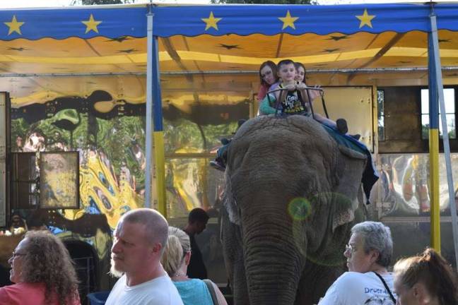 Kids get a ride on an elephant.