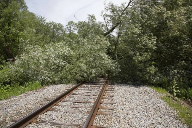 Photo by Robert G. Breese High winds blew a tree down across the railroad tracks near Sandhill Road in Vernon on Tuesday morning.