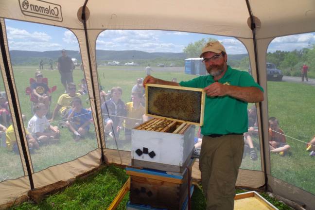 With honey bees flying all around the inside to the screened tent, Vernon beekeeper JC Cowell of the Bees, Birds &amp; Bear Apiary showed the children how to locate the queen bee.