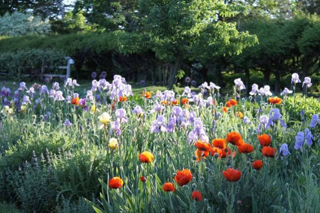 Meadowburn Farm will open for tours