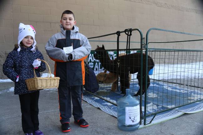 Awesome Alpaca Adventurers raise money for upcoming trip James and Samantha Kulick of Vernon sell chocolates.