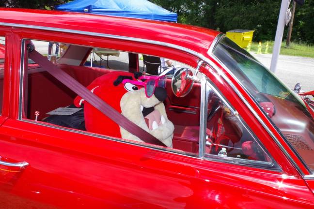 Taz, the Tasmanian Devil, hitched a ride to the Elks Car Show.