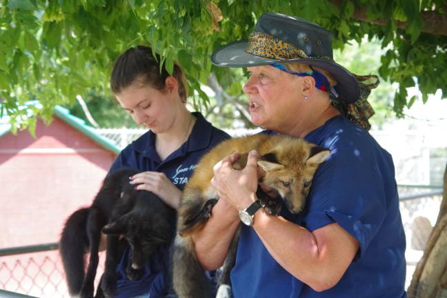 Space Farms intern Allison Stapel, 19, of Lafayette and &#x201c;Zoo Momma&#x201d; Lori Space Day teach youngsters about two baby foxes during a preview of the upcoming Junior Zookeeper Day. Photos by Chris Wyman.