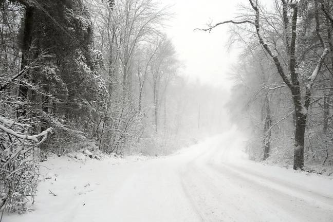 All is quiet on Canistear Road, Monday afternoon.