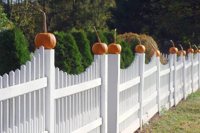 Fence post pumpkins can be seen on Route 515.