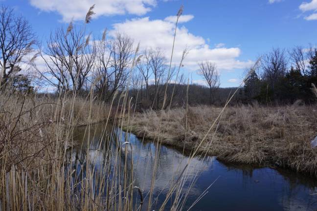 The Wallkill River wetlands under which water, sewer, and gas mains will need to be pushed 150 feet.
