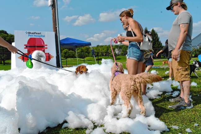 Photos: Pupstock Festival 2024 <b>Dogs and their owners at the Pupstock Festival on Saturday, Aug. 24 at the Sussex County Fairgrounds. (Photo by Maria Kovic)</b>