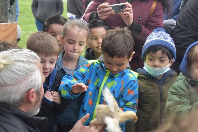 Steve MacLean hands Jayden Barrett, 5, a chick.