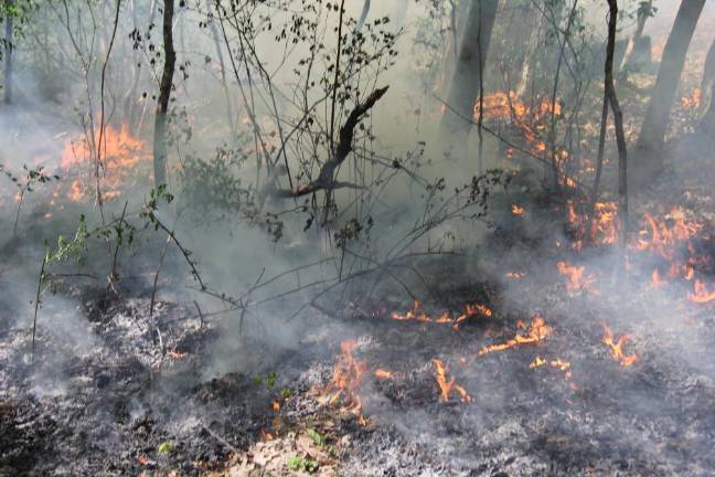 The prescribed burn under way. (Photo courtesy of High Point Regional High School)