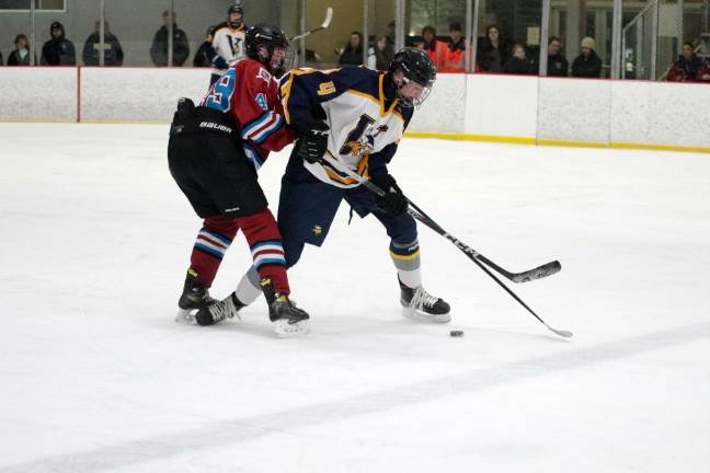 Vikings advance to H/W/S semis Players clash over the puck.