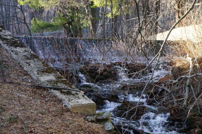 Photos by Vera Olinski The Colesville Dam might have to be removed in order to satisfy the NJDEP dam safety requirements and turbidity issues.
