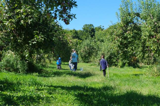 Visitors are shown exploring the apple orchards at Pochuck Valley Farms.