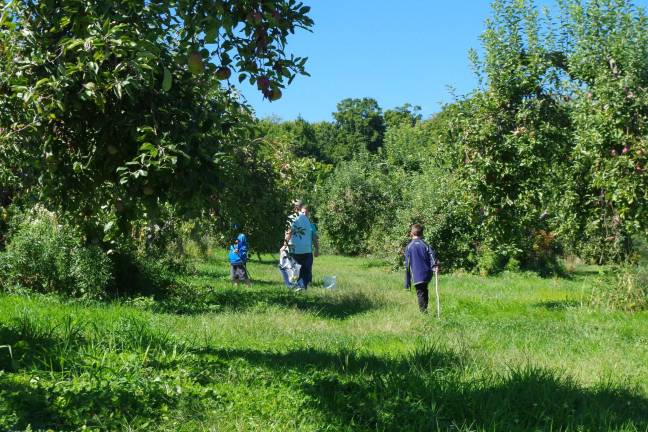 Visitors are shown exploring the apple orchards at Pochuck Valley Farms.