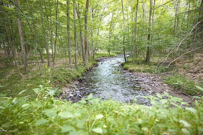 One-of-a-kind retreat on 13+ acres with trout stream Stream