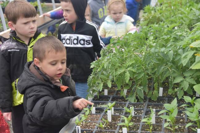 It is hard to heed Steve’s admonition not to touch the baby plants.