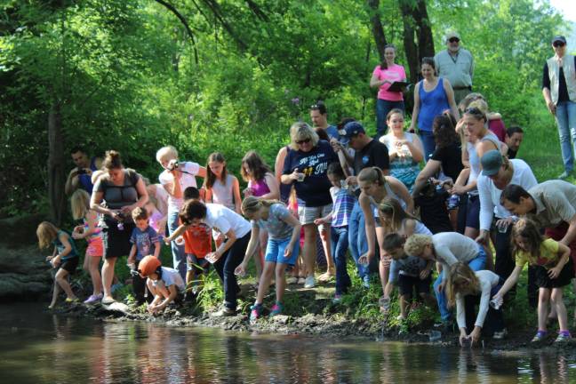Walnut Ridge students take part in trout program