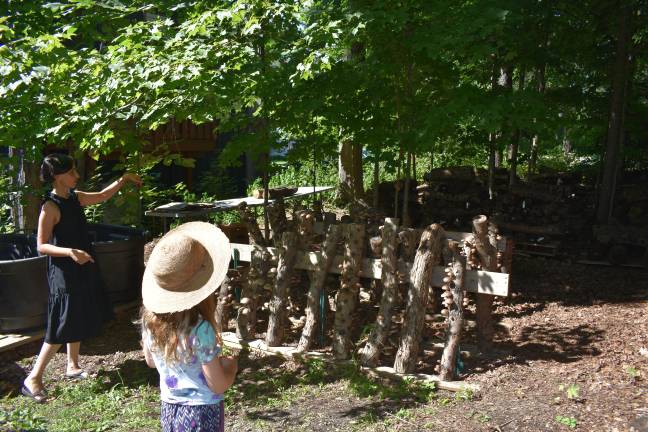 Learn how to grow your groceries Aysha Venjara shows how she grows mushrooms on logs outside her Chester, N.Y., home. Her garden is one of more than a dozen to see during the Aug. 3 tour.