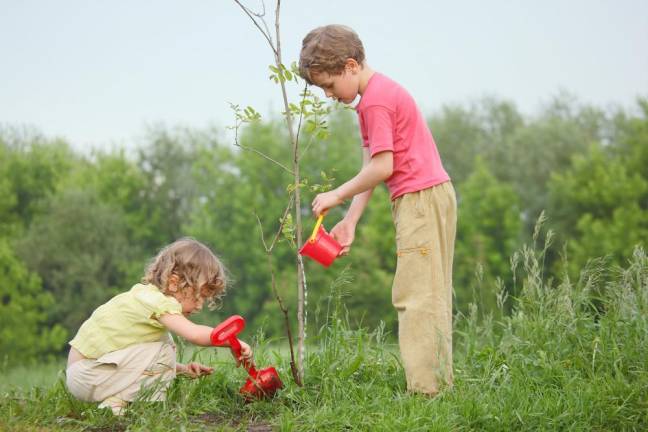 Receive 10 free trees by joining the Arbor Day Foundation in August
